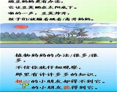 植的成语有哪些成语