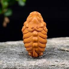 白芸豆是什么植物